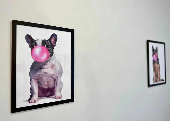 Mmrent Bubble Gum グダニスク